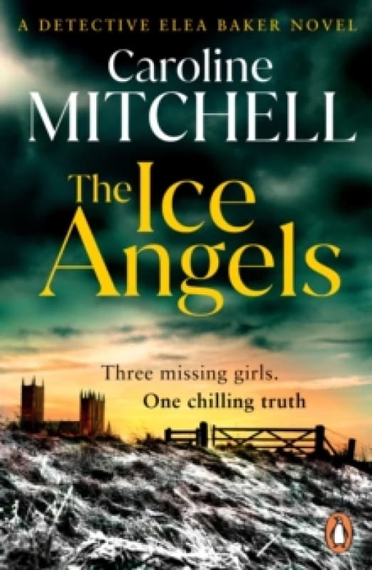 The Ice Angels Paperback / softback