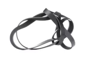 RIDEX V-ribbed belt VW,AUDI,MERCEDES-BENZ 305P0105 059903137AB,059903137P,06E903137C 06E903137N,077903137D,4861322,4861322AB,5281276,AJ84137,C2S24900