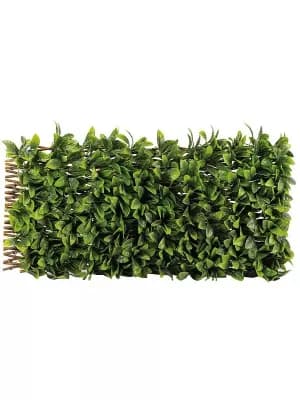 Smart Solar Lemon Leaf 180 X 90Cm Trellis