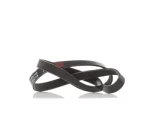 RIDEX V-ribbed belt 305P0061 Serpentine belt,Auxiliary belt VW,OPEL,FORD,GOLF III (1H1),Caddy III Kombi (2KB, 2KJ, 2CB, 2CJ),SHARAN (7M8, 7M9, 7M6)