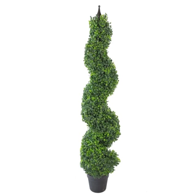 Leaf Buxus Boxwood Spiral Trees 120Cm Buxus Spiral Single 120Cm Plants, Green 7164-V2AZ