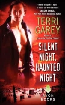 Silent Night Haunted Night by Terri Garey Book