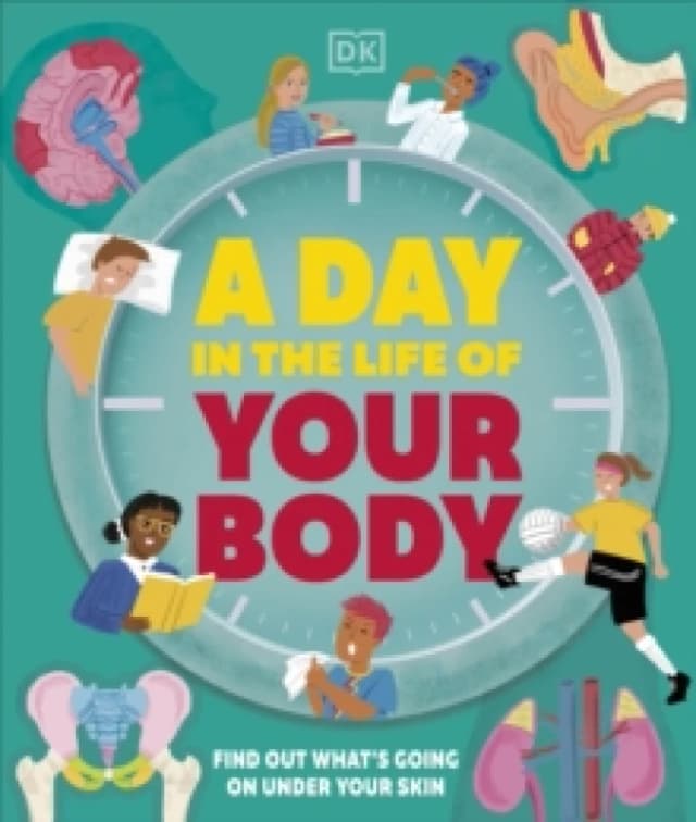 A Day in the Life of Your Body : Find Out What's Going on Under Your Skin Hardback