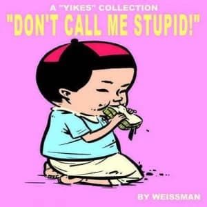 Dont Call Me Stupid by Steven Weissman Paperback