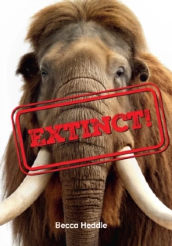 Extinct! : Fluency 2 Paperback / softback