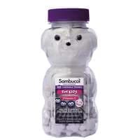 Sambucol Black Elderberry Chewable Teddies for Kids x 60