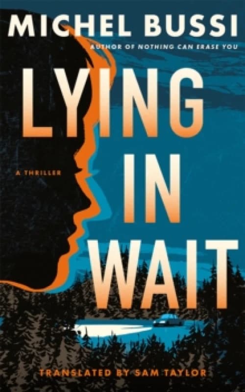 Lying in Wait : A Thriller Paperback / softback
