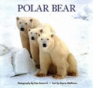 Polar Bear by Downs Matthews and Dan Guravich Book