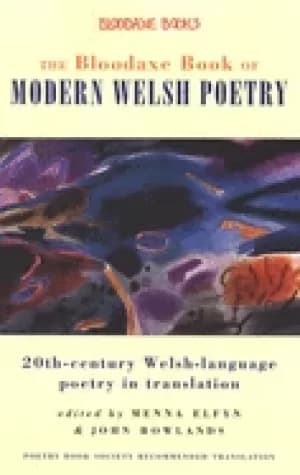bloodaxe book of modern welsh poetry 20th century welsh language poetry in