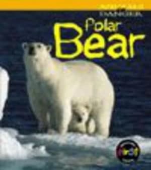 Polar Bear by Rod Theodorou Paperback