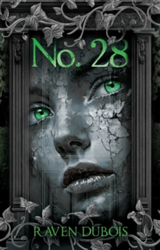 No. 28 Paperback / softback