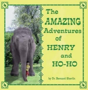 The Amazing Adventures of Henry and Ho-Ho by Bernard Shevlin Paperback