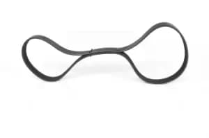 Bosch V-ribbed belt MAZDA,DAF 1 987 946 266 1702604,RF5D15909,RF7L15909 Serpentine belt,Auxiliary belt,Poly V-belt,Ribbed belt,Multi V-belt,Poly belt