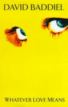 Whatever Love Means by David Baddiel Hardback