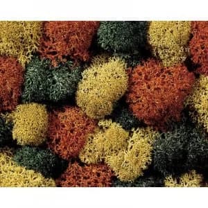 NOCH 8620 Moss Autumn mix