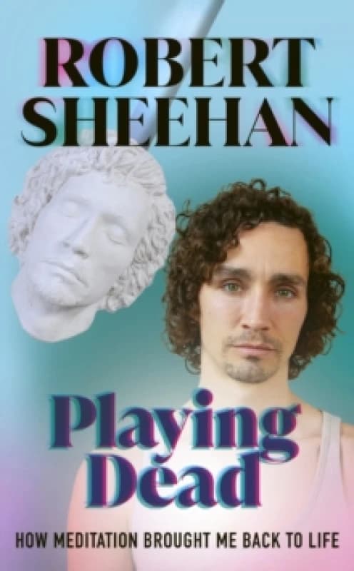 Playing Dead : How Meditation Brought Me Back to Life Hardback