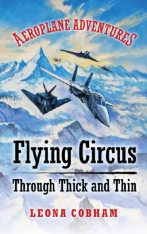 Flying Circus Through Thick and Thin : The inside story of four planes confronting the perils of the skies; teamwork, friendship, and self-esteem Pape