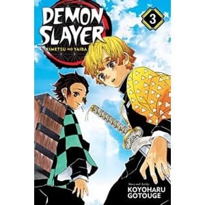 Demon Slayer: Kimetsu no Yaiba, Vol. 3 Believe in Yourself Paperback / softback 2018