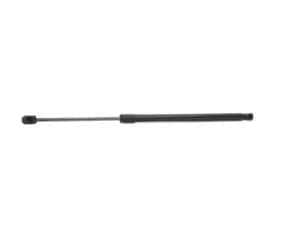 RIDEX Tailgate strut 219G0110 Gas spring, boot- / cargo area,Boot struts FORD,CITROEN,FUSION (JU_),C4 Coupe (LA_)