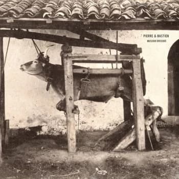 Musique Grecque by Pierre & Bastien Vinyl Album