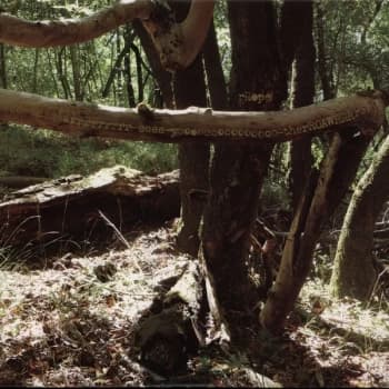 rRope - We Are You There Vinyl