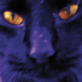 David Kilgour And The Heavy Eights - Bobbie's A Girl Vinyl