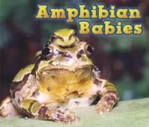 Amphibian babies by Catherine Veitch