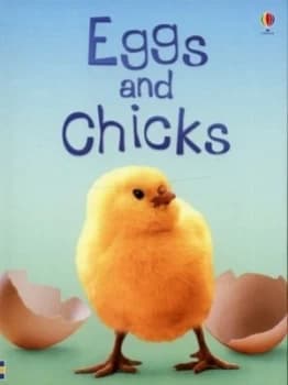 Eggs and Chicks by Fiona Patchett and Tetsuo Kushii and Zo Wray and S. James Reynolds and Alison Kelly Hardback