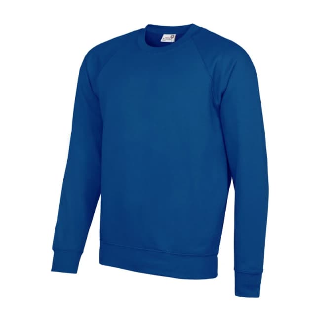 AWDis AWDis Men Academy Crew Neck Raglan Sweatshirt in Royal Size: X-Small Royal XS Male 5054752809065