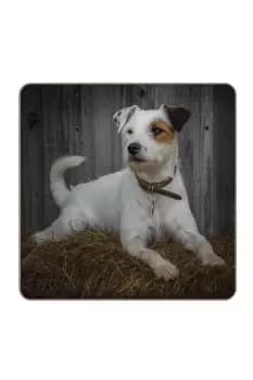 Jack Russell Coaster Rural Roots Set 4