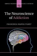 neuroscience of addiction