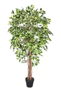 Variegated Green Ficus Tree Artificial Plant with Twisted Trunk, 6 Ft
