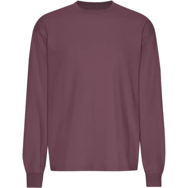 Colorful Standard Oversized long-sleeve T-Shirt Colorful Standard Organic Dusty Plum Violet Unisex S