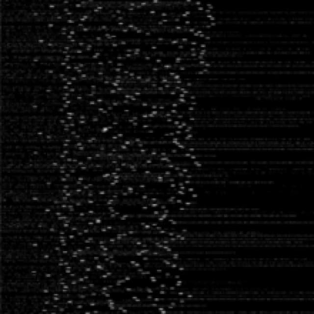 System Fork CD / Album