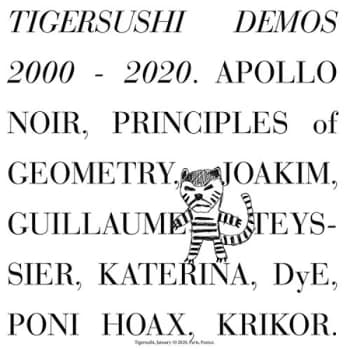 Various Artists - Tigersushi Demos 2000-2020 Vinyl