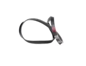 RIDEX V-ribbed belt FORD,RENAULT,FIAT 305P0293 60551888,71739623,71749423 ADU7786,120576447,12576447,12576447,46411595,46448694,46456894,46537099