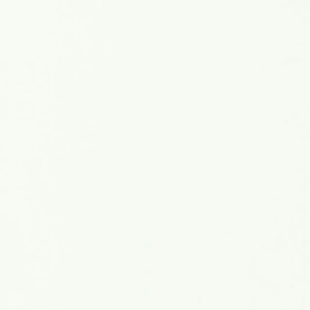 Cricut Cricut Premium Removable White 2004297