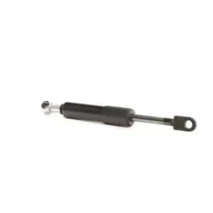 RIDEX Gas Spring, rear window 2454G0006 BMW,5 Touring (E34)