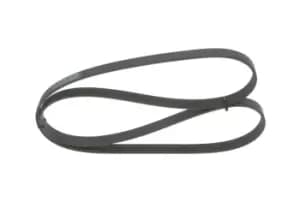 Bosch V-ribbed belt FORD 1 987 945 727 1761929,CM5Q6C301BA Serpentine belt,Auxiliary belt,Poly V-belt,Ribbed belt,Multi V-belt,Poly belt