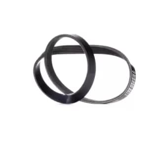 RIDEX V-ribbed belt 305P0381 Serpentine belt,Auxiliary belt FIAT,PEUGEOT,HYUNDAI,DUCATO Kasten (244),DUCATO Pritsche/Fahrgestell (230)
