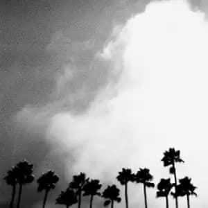 Richard Rose - Radiation Breeze Vinyl