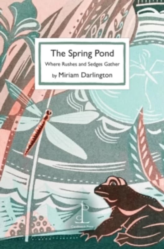 The Spring Pond : Where Rushes and Sedges Gather Paperback / softback
