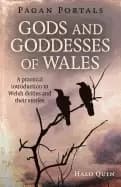 pagan portals gods and goddesses of wales a practical introduction to wel