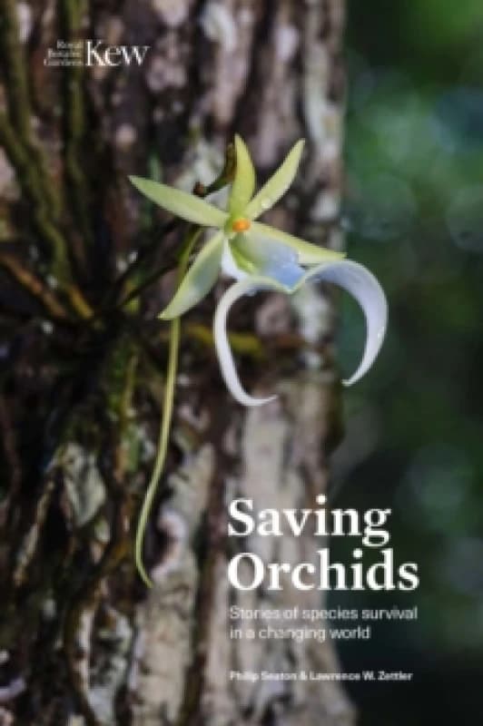 Saving Orchids : Stories of species survival in a changing world Hardback