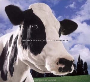 The Secret Life of Cows by Glen Wexler Paperback
