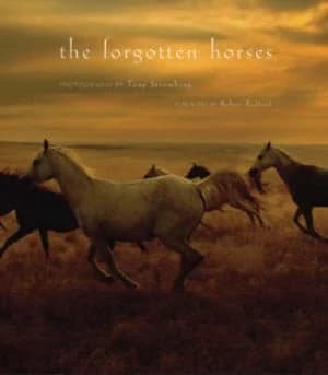 The Forgotten Horses by Tony Stromberg Hardback
