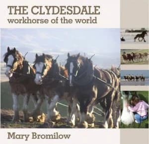 The Clydesdale by Mary Bromilow Hardback