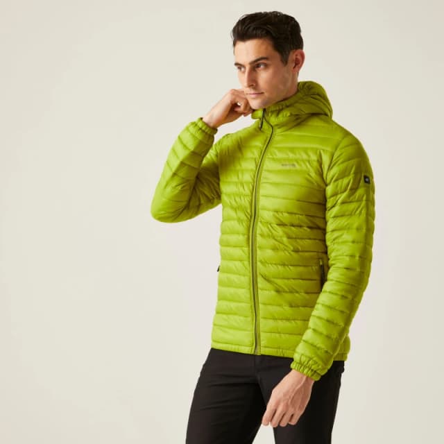Regatta Regatta Men Hurden Padded Jacket in Green Size: Medium Green M Male 5063019998510