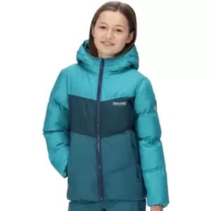 Regatta Girls Lofthouse VI Hooded Padded Coat 9-10 Years - Chest 69-73cm (Height 135-140cm)