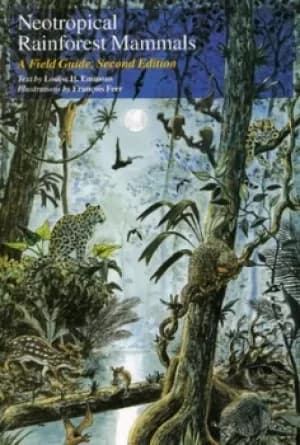Neotropical Rainforest Mammals by Louise H. Emmons